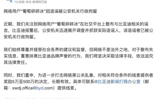 比亚迪持续打击黑公关，一造谣者被公安机关行政拘留